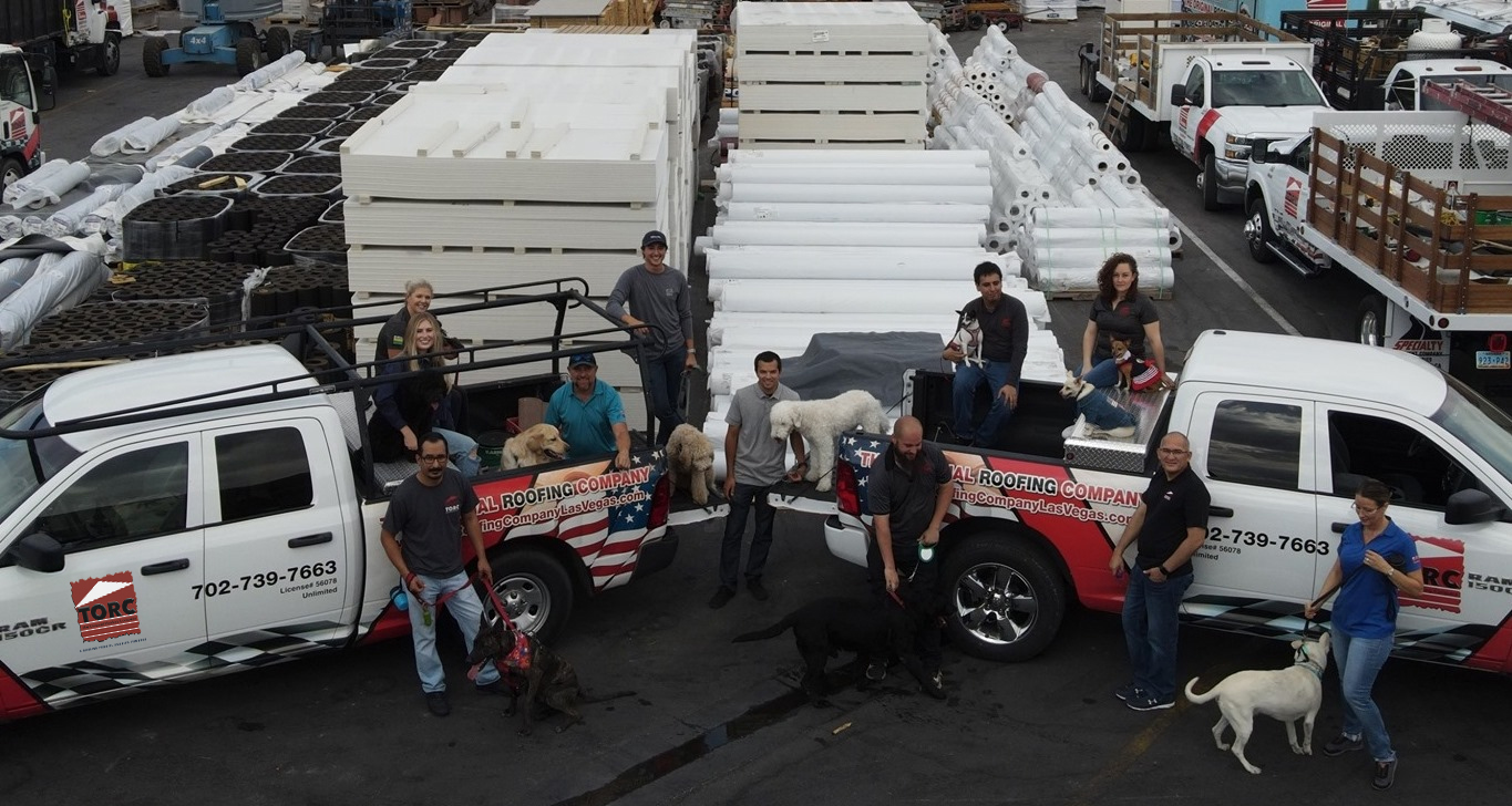 Summerlin-Aquatic-Center-4